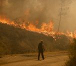 /haber/ministry-turkey-hit-by-1-171-forest-fires-in-summer-2021-259850