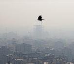/haber/tahran-da-hava-kirliligi-nedeniyle-okullar-tatil-261560