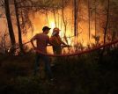 /haber/is-turkey-ready-for-forest-fires-261750