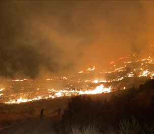 /haber/seventeen-forest-fires-in-mugla-in-five-days-262984