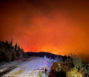 /haber/wildfires-break-out-in-marmaris-263613