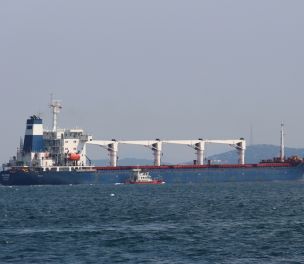/haber/ukraine-grain-ship-leaves-istanbul-after-inspections-265405