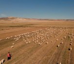 /haber/33-ankara-film-festivali-biletleri-yarin-satisa-cikiyor-268966