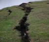 /haber/duzce-earthquake-will-not-trigger-the-possible-marmara-earthquake-270501