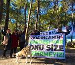 /haber/istanbul-daki-ekoloji-aktivistleri-akbelen-de-karincanin-kardesi-var-272317
