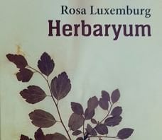 /yazi/rosa-luxemburg-un-herbaryum-dunyasi-272770