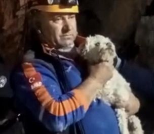 /haber/another-dog-rescued-from-debris-weeks-after-turkiye-earthquakes-275091
