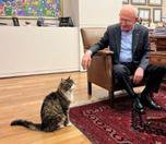 /haber/kilicdaroglu-promises-to-reduce-pet-food-prices-in-instagram-post-featuring-party-s-cat-275591