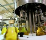 /haber/price-stability-fund-fee-will-be-deducted-from-olive-oil-exports-281803