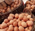/haber/tayvan-a-ihrac-edilen-kanserojen-yumurtalara-inceleme-281859