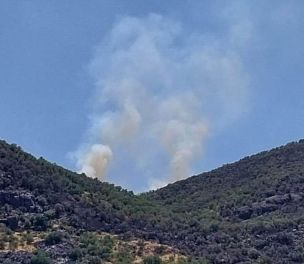 /haber/locals-call-for-urgent-response-to-wildfires-in-diyarbakir-hakkari-282739