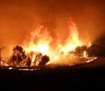 /haber/wildfire-in-canakkale-283067