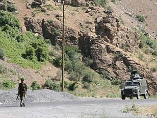 Genelkurmay: Bingöl'de 10 PKK Militanı Öldürüldü