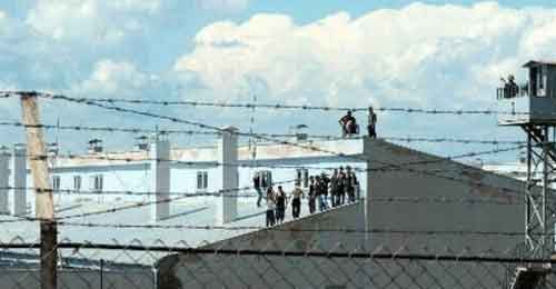 Prisoners Protest in Siirt