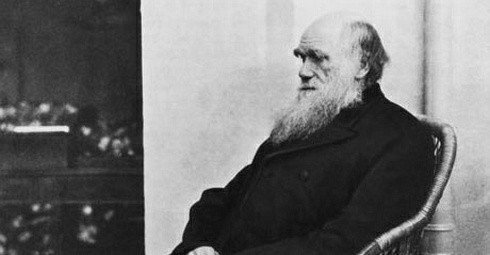 Akademi İçin Darwin "Hassas" Bir Konu