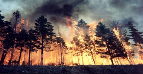Kaz Dağları'nda 200 Hektar Yandı, Yangınlar Devam Ediyor