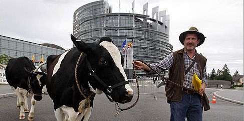 Avrupa'da Süt Üreticileri Eylemde!