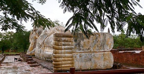 Ayutthaya'nın Kalıntılarını Adımlamak