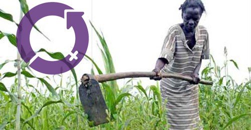 BM 8 Mart Teması: Kırsalda Yoksulluk ve Açlık