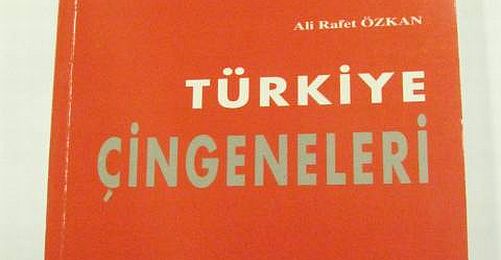 AİHM "Türkiye Çingeneleri" Kararında Israrlı 