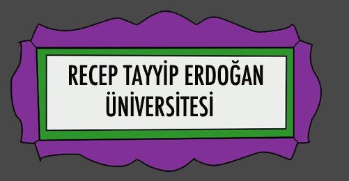 Ben Recep Tayyip Erdoğan'a Gidiyorum!