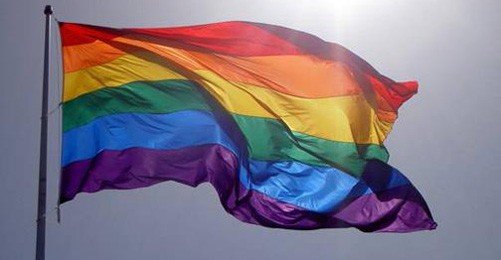 LGBT'ler Yeni Anayasa İçin Meclisteydi