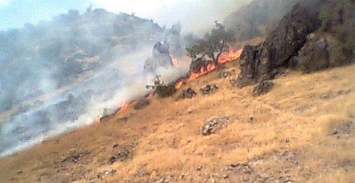 Fires Ravage the Forests of Dersim