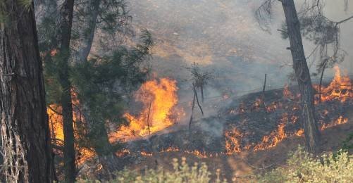 Kaz Dağları'nda Orman Yangını