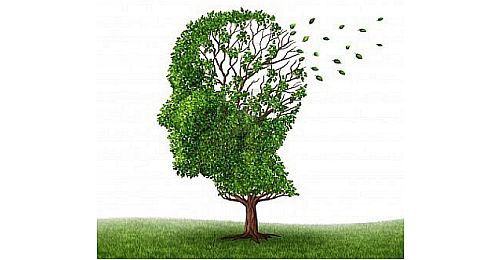 İki Kişilik Hastalık: Alzheimer