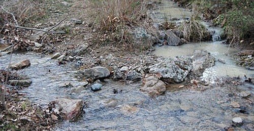 Gold Drill Threatens Nature in Turkey's Ida Mountain 