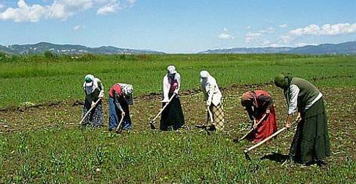 Mevsimlik Tarım İşçileri Dernekleşiyor