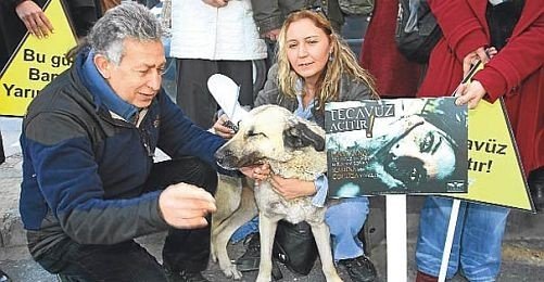 Sokak Köpeği Ayşa'nın Tecavüzcüsüne Hapis Cezası