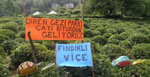 Gezi Parkı Direnişinin İlhamını Yerelde Aramak