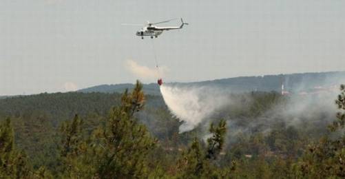 Beykoz’da Yine Orman Yangını