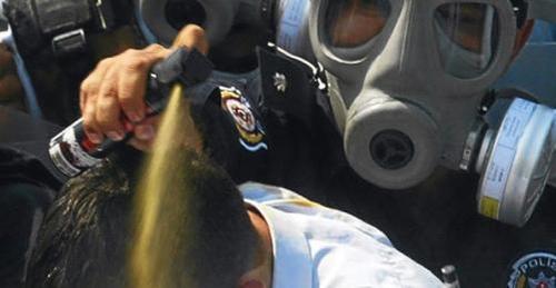Turkey Convicted of Pepper Gas Use, Police Violence