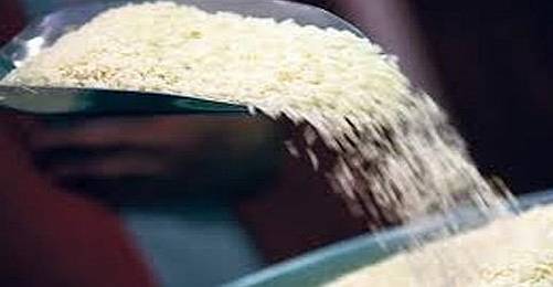 GDO’lu Pirinç Yoksa Bakanlık Talimatında Ne Arıyor?