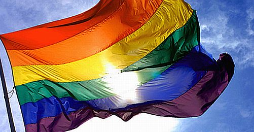 CHP Gençlik Örgütü'nden LGBT Raporu 