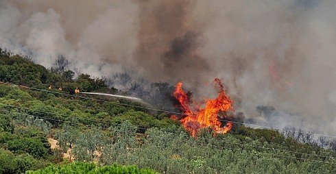 1462 Forest Blazes Reported in July