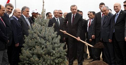 Yeşiller ve Sol Gelecek’ten Erdoğan’a: Biz de Sana Hastayız