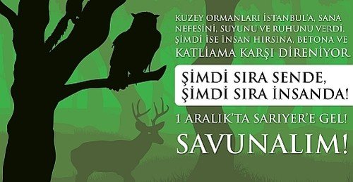 Forest Activists Call For Action in Istanbul 