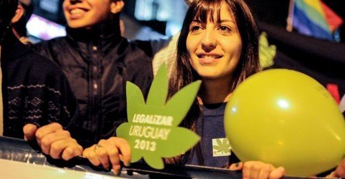 Uruguay'da Marijuana Yetiştirmek ve Satmak Serbest
