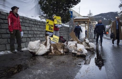 Greenpeace: Davos’ta Doğanın Değişen Gücü Konuşulmalı