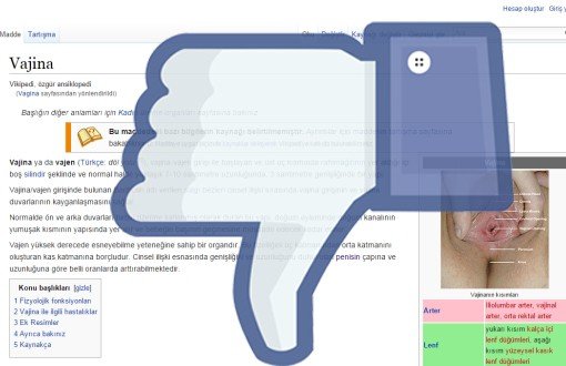 Facebook Censors bianet’s “Vagina” Story 