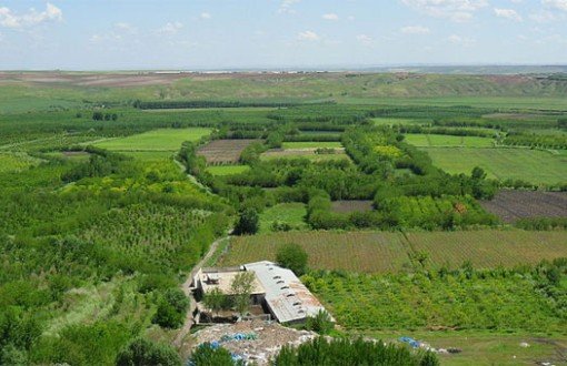 Diyarbakır'da  Dicle Vadisi'nin Tarım Alanından Çıkarılmasına Tepki