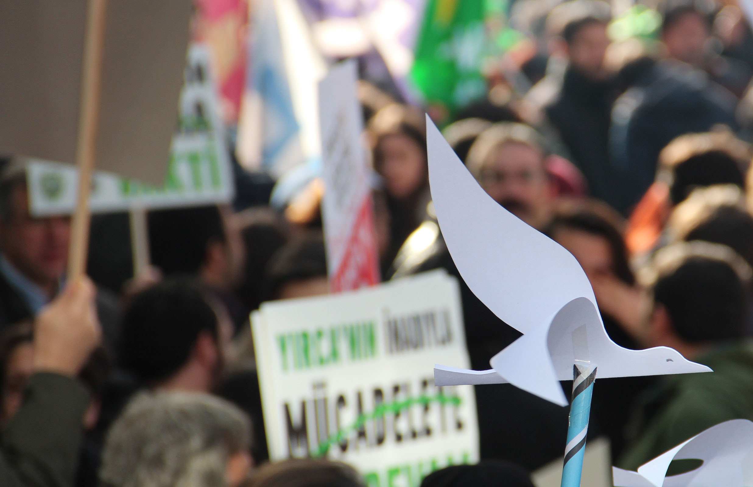 Thousands Take Streets to Defend Marmara