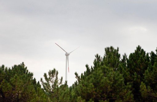 Boğaziçi Üniversitesi Rüzgarla Kendi Elektriğini Üretecek