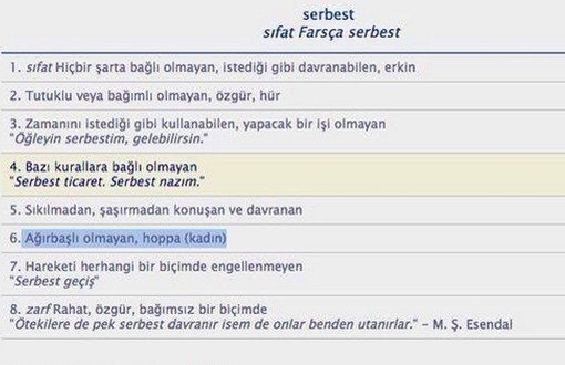 Sexism “Available” at Turkish Language Institute 