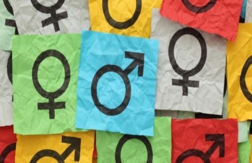 Bir Araştırma: Toplumsal Cinsiyet & Kadın Yönetilemeyen Algı mı? 