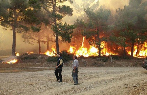 Mersin'de Orman Yangını