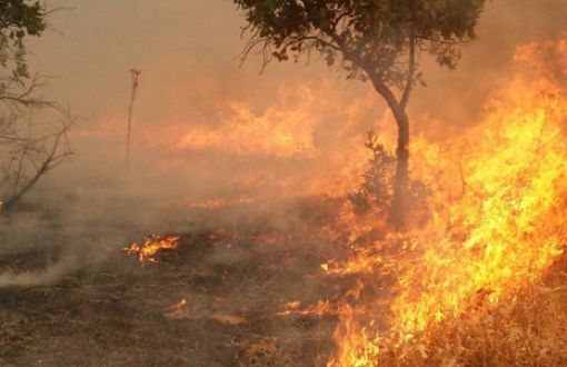 Şemdinli'de Top Atışları Yangın Çıkardı